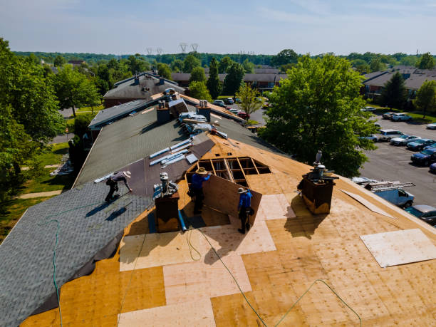 Trusted Emergency Roof Repair service in Rancho Santa Margarita, CA - Brentwood Metal Roofing